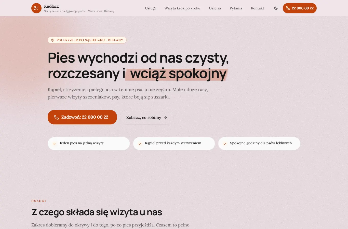 Przykład: Kudłacz — psi fryzjer